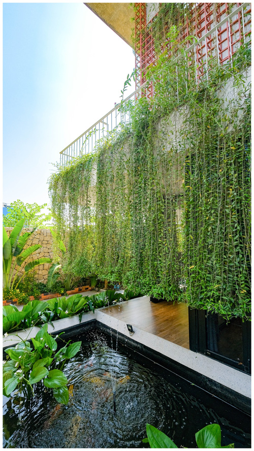 Ở đây có căn biệt thự nhiệt đới ngập cây xanh, bước vào bên trong càng wow hơn nữa vì không gian chill hệt như resort-6