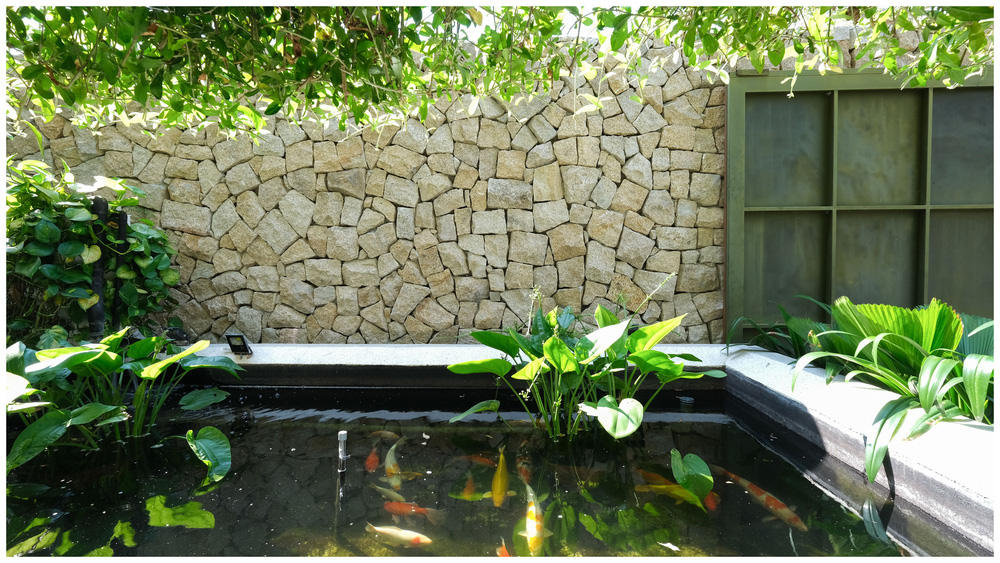 Ở đây có căn biệt thự nhiệt đới ngập cây xanh, bước vào bên trong càng wow hơn nữa vì không gian chill hệt như resort-7