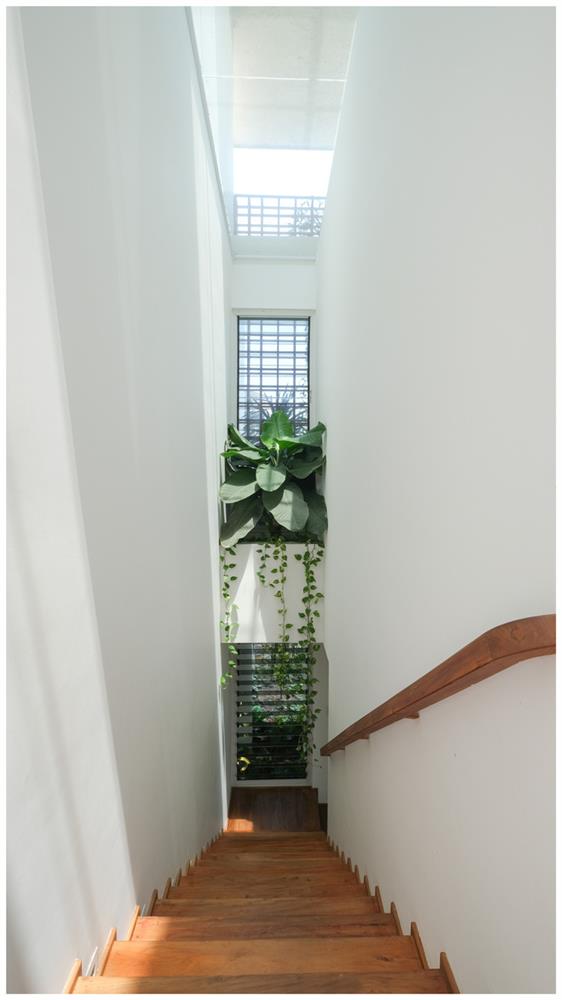 Ở đây có căn biệt thự nhiệt đới ngập cây xanh, bước vào bên trong càng wow hơn nữa vì không gian chill hệt như resort-14