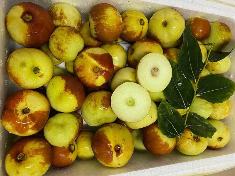 Loại táo Trung Quốc siêu lạ, giá đắt đỏ vẫn ‘cháy hàng’-3