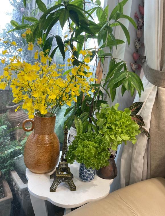 Mẹ đảm bật mí cách bảo quản rau xà lách tươi lâu vào mùa dịch-4