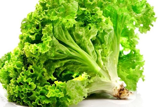 'Mẹ đảm' bật mí cách bảo quản rau xà lách tươi lâu vào mùa dịch