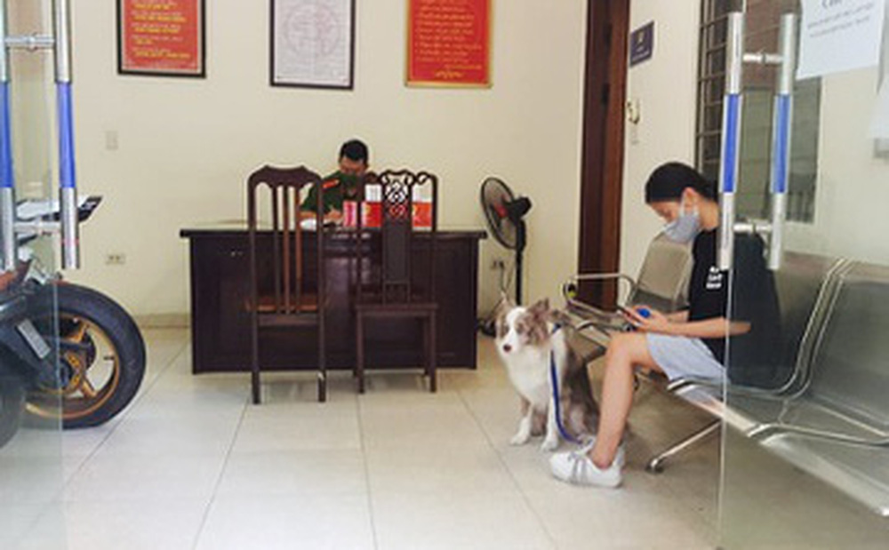 Cô gái Hà Nội bị phạt 2 triệu đồng vì dắt chó đi dạo-1
