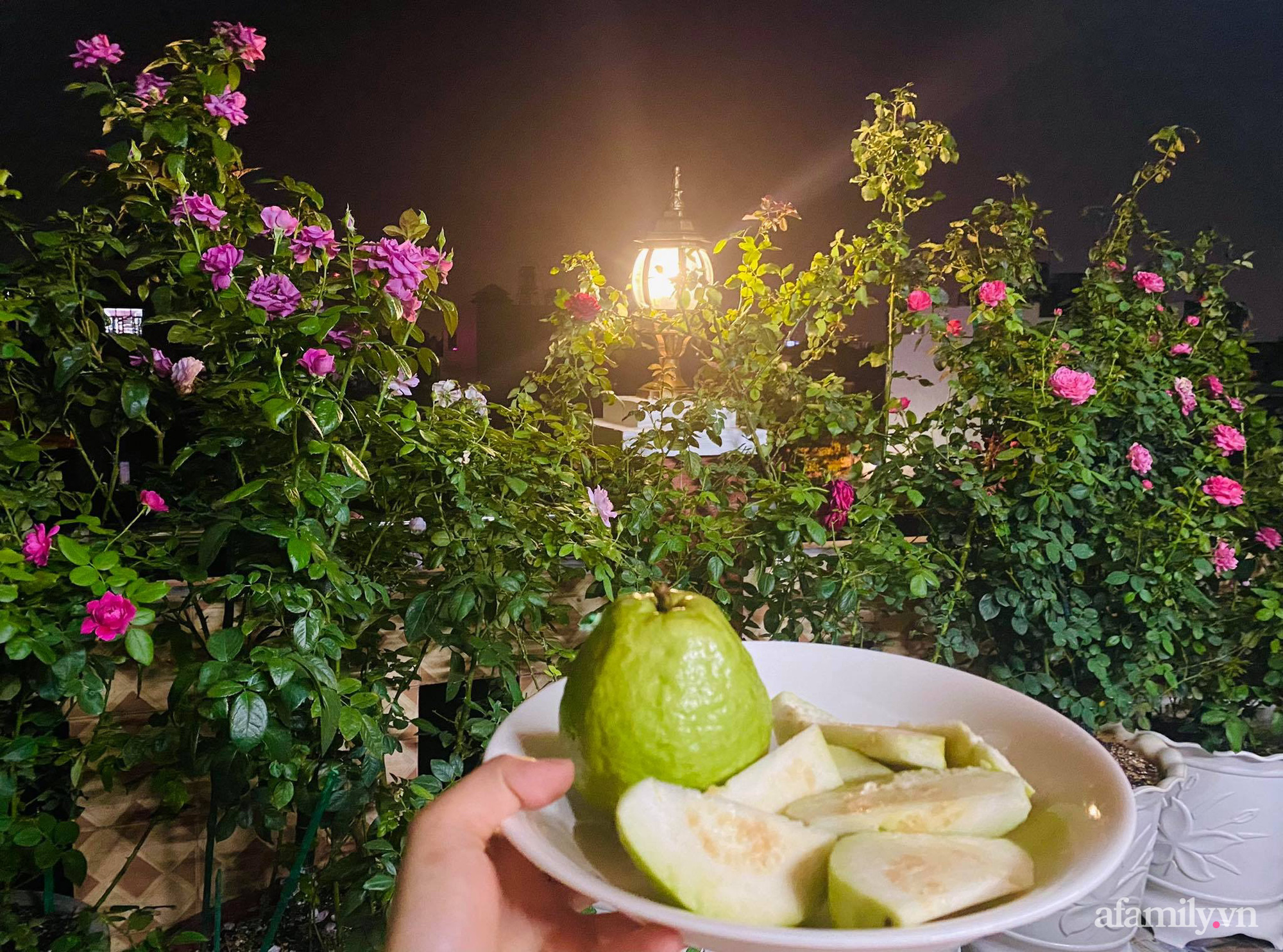 Sân thượng phủ kín hoa hồng và rau quả sạch ở Sài Gòn của Hoa hậu Janny Thủy Trần-25
