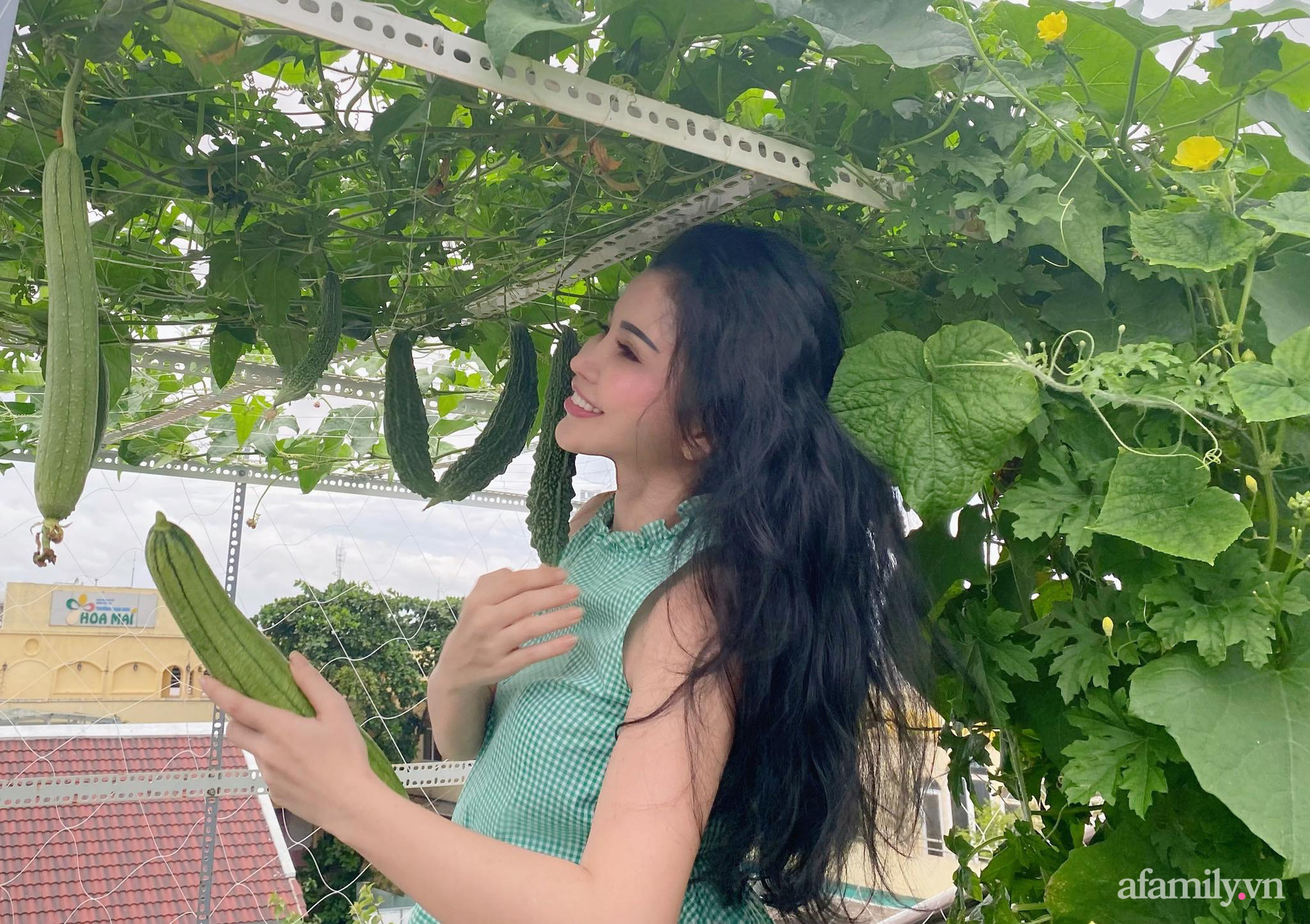 Sân thượng phủ kín hoa hồng và rau quả sạch ở Sài Gòn của Hoa hậu Janny Thủy Trần-27