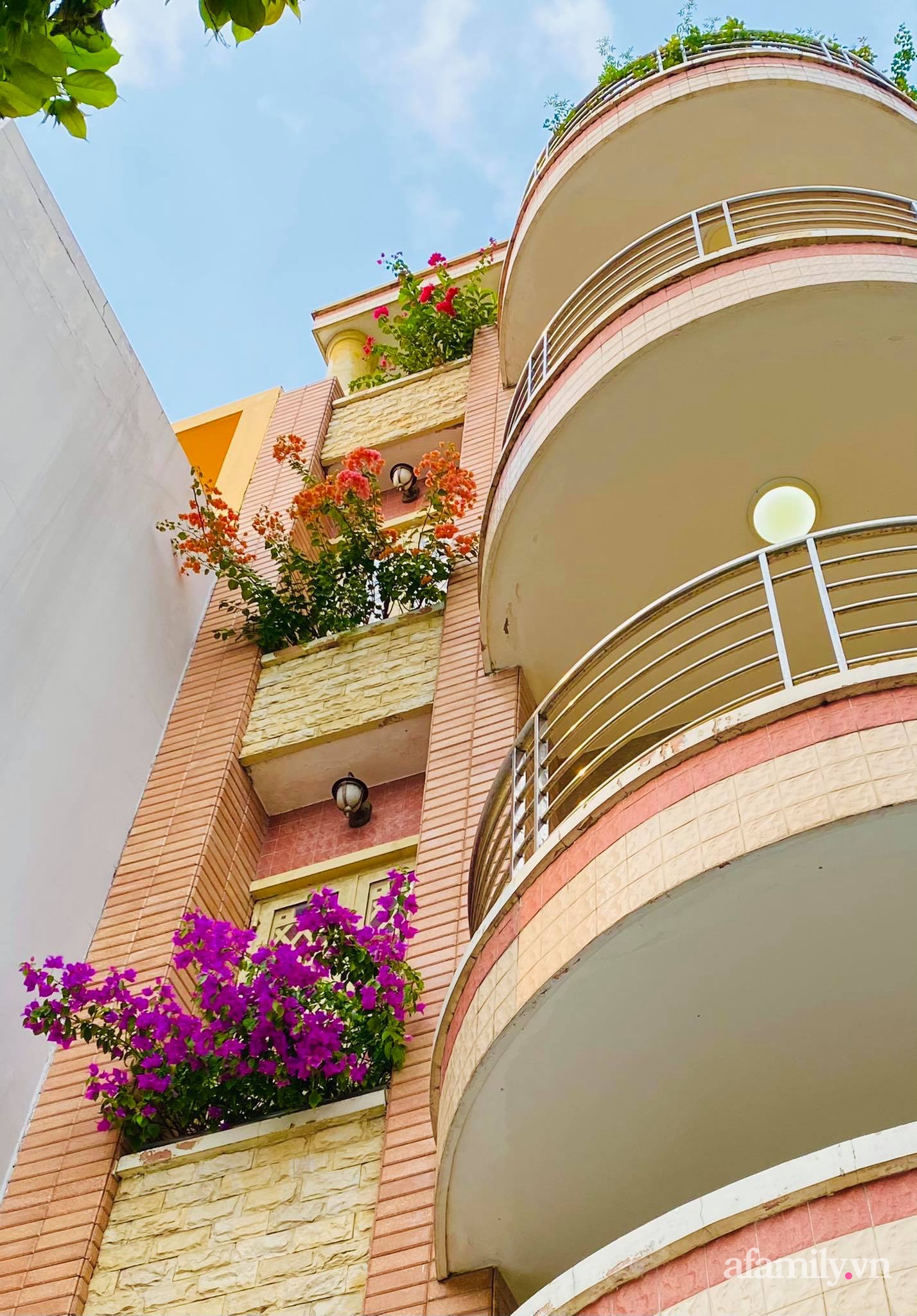 Sân thượng phủ kín hoa hồng và rau quả sạch ở Sài Gòn của Hoa hậu Janny Thủy Trần-24