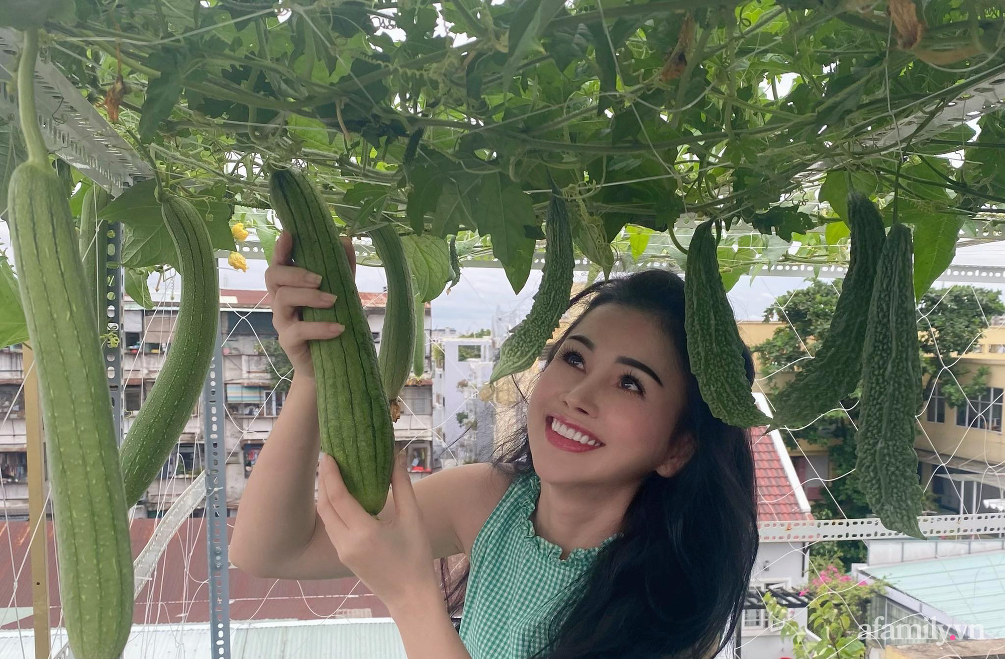 Sân thượng phủ kín hoa hồng và rau quả sạch ở Sài Gòn của Hoa hậu Janny Thủy Trần-26