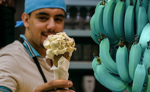 Giống chuối xanh biếc kì lạ tưởng chỉ là photoshop nào ngờ có thật 100%, lại còn được trồng ở rất gần Việt Nam-4