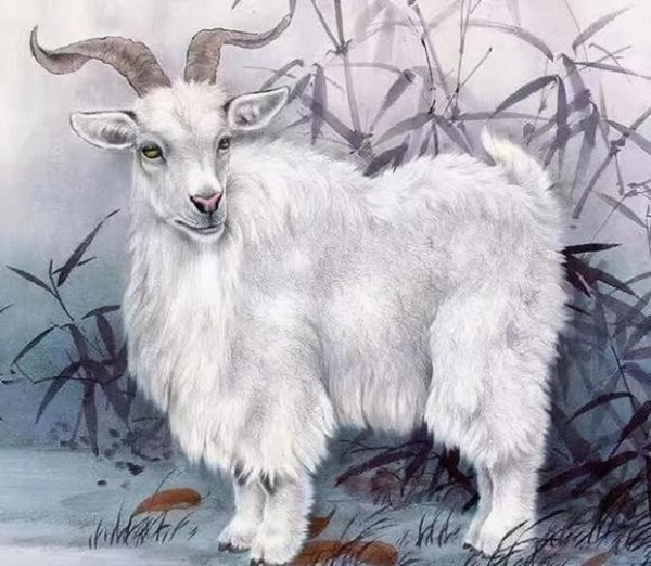 3 tháng cuối năm 2021, 3 con giáp tai qua nạn khỏi, nhìn thấy tương lai tươi sáng, sự nghiệp cải thiện rõ rệt-3