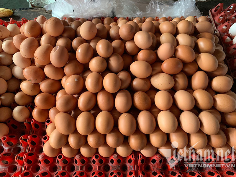 Hà Nội: Trứng gà tăng giá mạnh, nhiều nơi ‘cháy hàng’-2