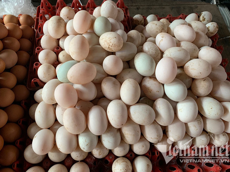 Hà Nội: Trứng gà tăng giá mạnh, nhiều nơi ‘cháy hàng’-1
