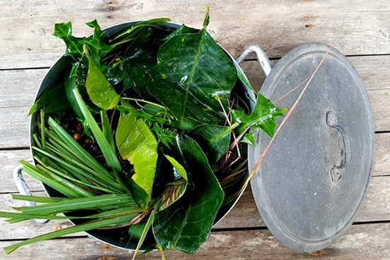 Dùng lá xông hơi, súc miệng nước muối có phòng được Covid-19? Bác sĩ người Việt tại Mỹ tiết lộ câu trả lời