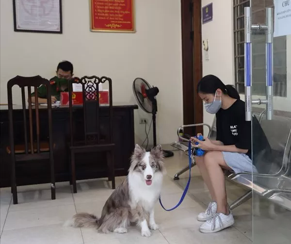 16 hành vi vi phạm phòng chống dịch có thể bị phạt tiền tới 200 triệu đồng, phạt tù tới 15 năm-1