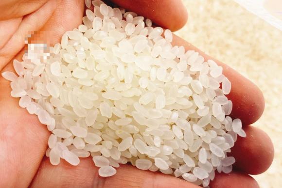 Bây giờ tôi mới biết bảo quản gạo rất đơn giản và nó sẽ không có sâu, mọt trong 1 năm, thật tiếc vì không biết sớm hơn-4