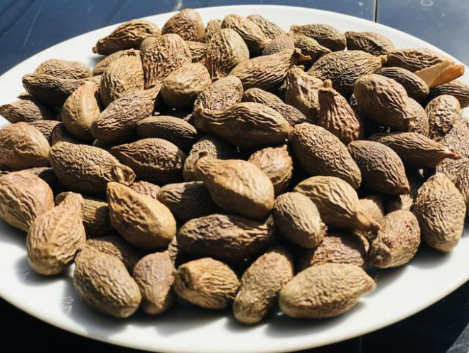 Đặc sản núi rừng 4 năm mới có 1 lần, chị em đua nhau mua về uống giải nhiệt, trị nhiệt miệng, táo bón bất chấp giá cả leo thang-1