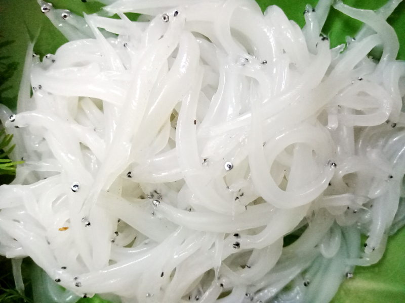 Ba đặc sản sông Đà giá cao vẫn hút khách-5