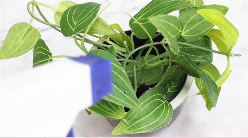 Ngâm vỏ mướp với nước vo gạo ai ngờ lại có tác dụng mà hầu hết mọi người đều không biết-6