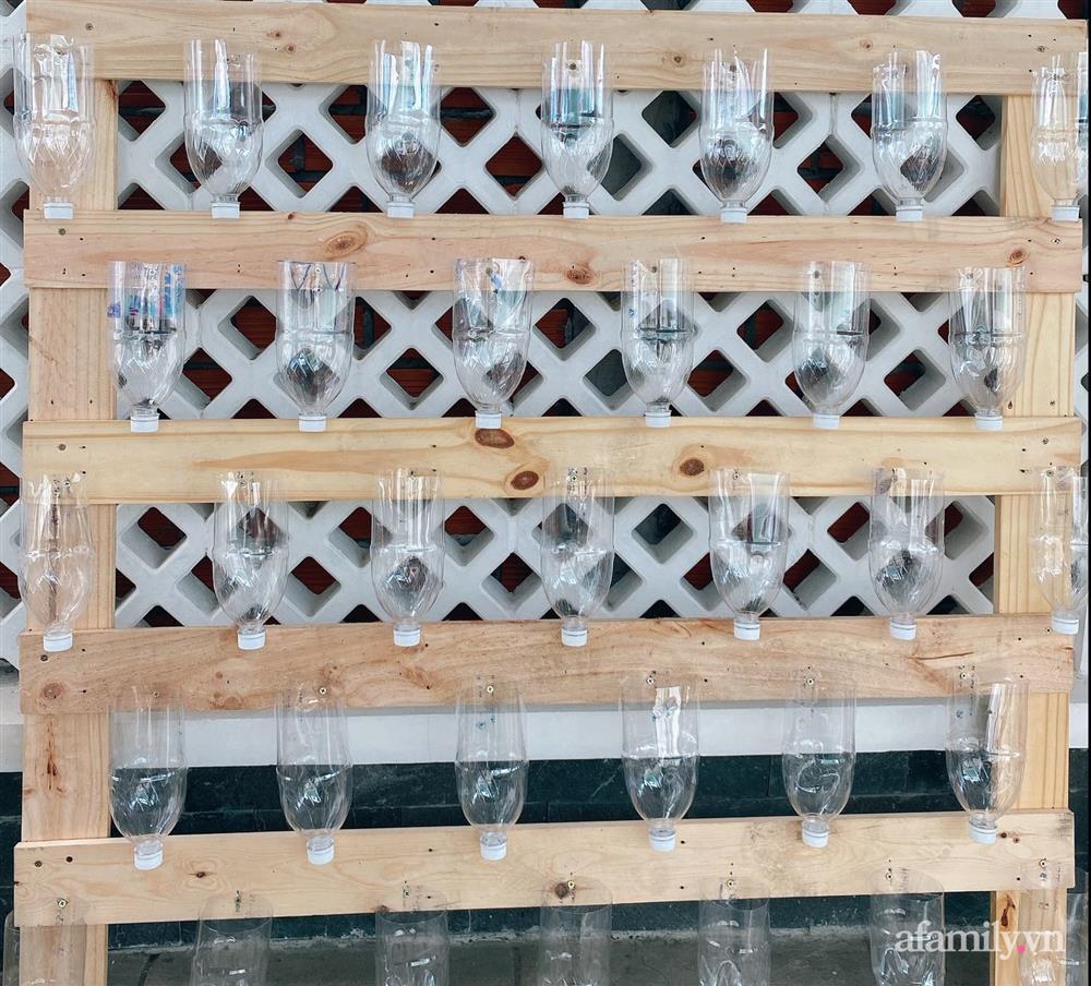 Học cô gái Tiền Giang tận dụng chai nhựa trồng rau sạch trong mùa dịch-2