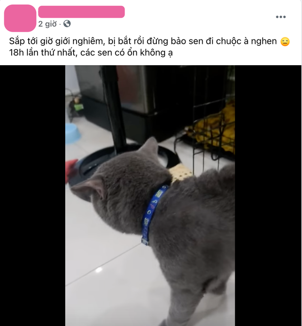 Dân tình rần rần rủ nhau mở tiệc ngủ ngay ngày đầu tiên Sài Gòn ra lệnh 18h giới nghiêm-7