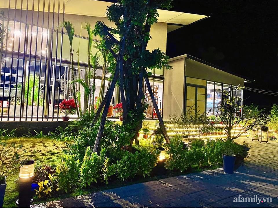 Sở hữu mảnh vườn thật chill, chàng trai trẻ Kiên Giang yên tâm nấu ăn, đọc sách, ngắm cây những ngày giãn cách-2