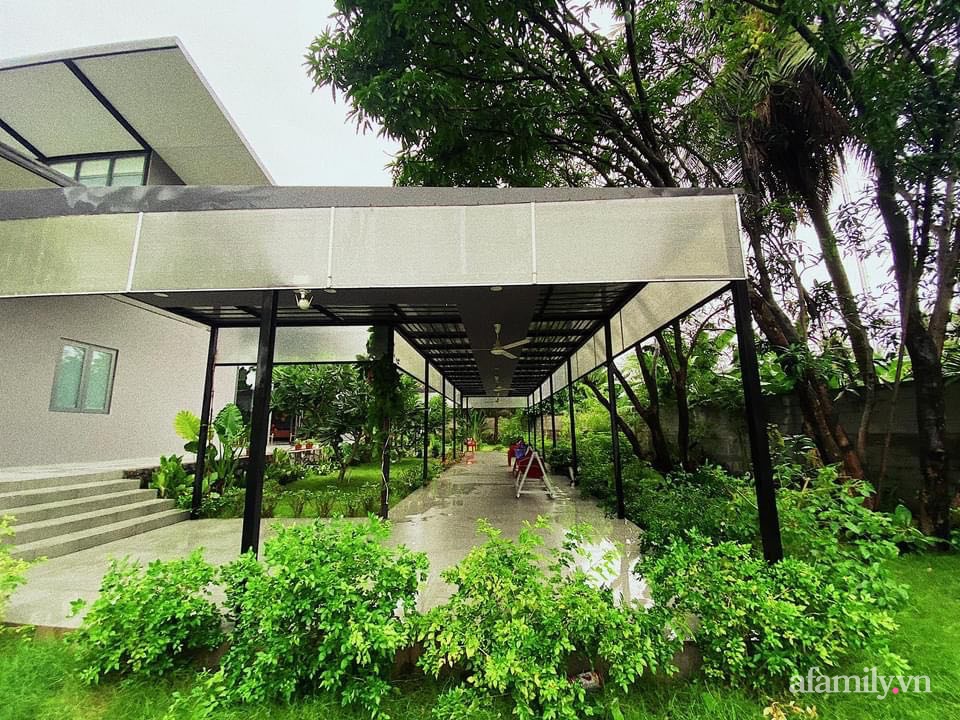 Sở hữu mảnh vườn thật chill, chàng trai trẻ Kiên Giang yên tâm nấu ăn, đọc sách, ngắm cây những ngày giãn cách-4