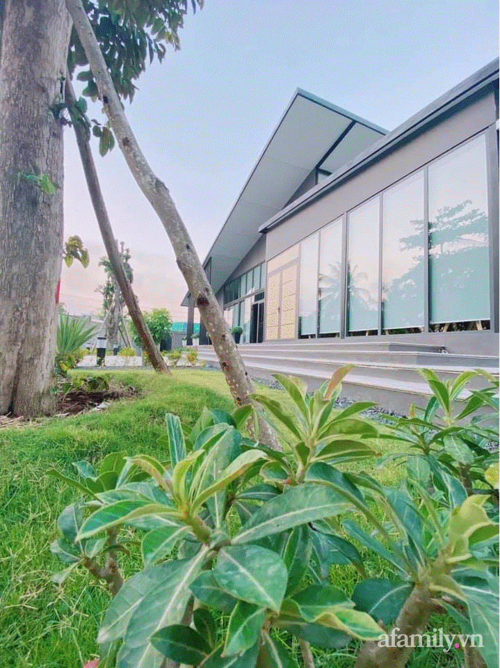 Sở hữu mảnh vườn thật chill, chàng trai trẻ Kiên Giang yên tâm nấu ăn, đọc sách, ngắm cây những ngày giãn cách-28