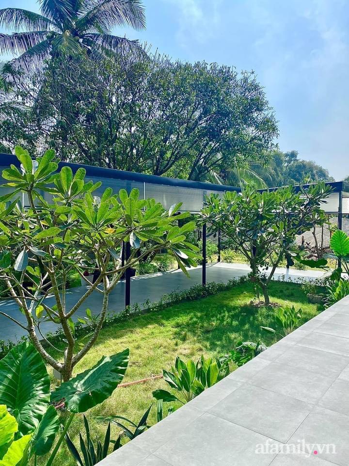 Sở hữu mảnh vườn thật chill, chàng trai trẻ Kiên Giang yên tâm nấu ăn, đọc sách, ngắm cây những ngày giãn cách-31