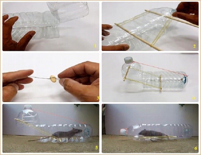 5 mẹo đuổi chuột sạch bách ra khỏi nhà, vĩnh viễn không dám quay lại”-2