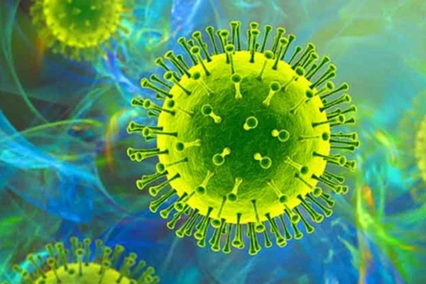 Campuchia phát hiện 3 container thịt trâu từ Ấn Độ có virus SARS-CoV-2-2