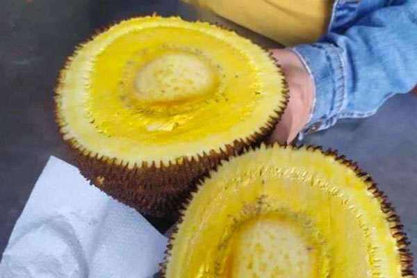 Cả dãy trọ dọn đi không một bóng người, thanh niên ở lại ngủ một mình, nửa đêm bỗng dưng thứ duy nhất trong nhà phát ra tiếng kêu cực kỳ đáng sợ!-1