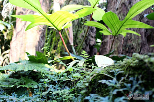 Tôi dứt khoát ly hôn để che giấu tội lỗi của chính mình-1