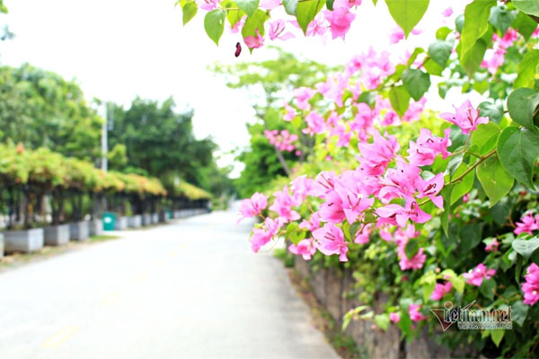 Tôi không muốn về quê chồng bởi những câu nói móc máy-1