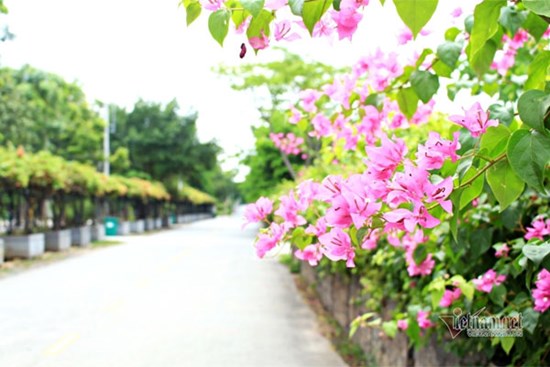 Tôi không muốn về quê chồng bởi những câu nói móc máy