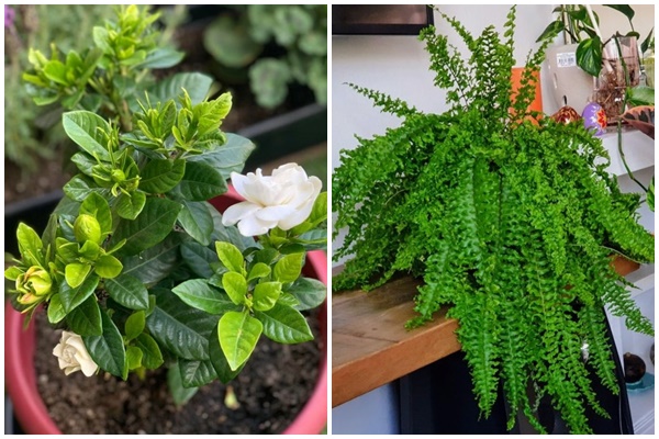 Cận cảnh biệt thự của Huỳnh Hiểu Minh, bên ngoài như tòa lâu đài, nội thất sang trọng bậc nhất, Angelababy sống như công chúa-19