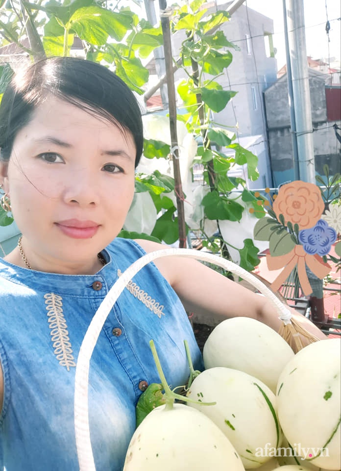 Cả năm không phải đi chợ mua rau quả nhờ làm vườn trên nóc nhà của mẹ đảm Hà Nội-20