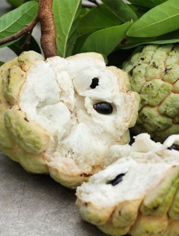 Phụ nữ không nên làm 7 việc này khi bụng đói vì sẽ tàn phá dạ dày rất nhanh, thậm chí gây nguy hiểm cho cơ thể-1