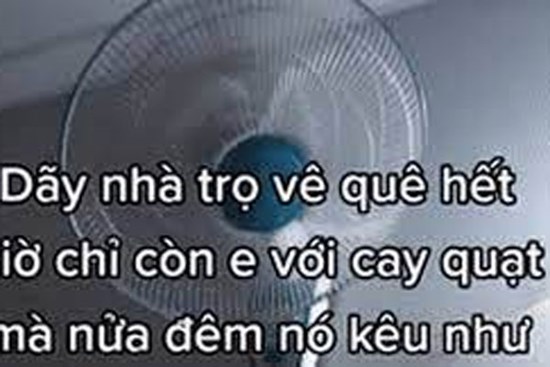 Cả dãy trọ dọn đi không một bóng người, thanh niên ở lại ngủ một mình, nửa đêm bỗng dưng thứ duy nhất trong nhà phát ra tiếng kêu cực kỳ đáng sợ!