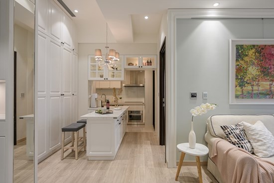 Căn hộ 48m² đầy đủ các khu vực chức năng đẹp hoàn hảo của vợ chồng trẻ