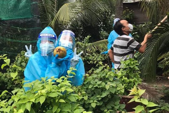 Kiểm tra Covid kết quả âm tính, chủ nhà Sài Gòn hái cả quài dừa tặng đội xét nghiệm thay lời cám ơn tiện thể ăn mừng vì quá vui