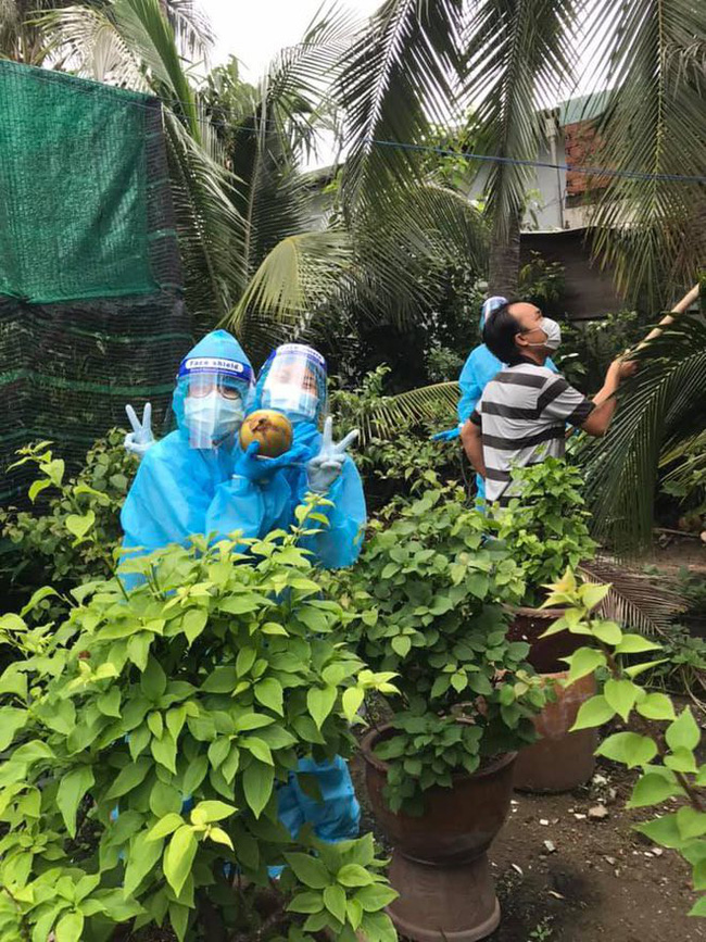 Kiểm tra Covid kết quả âm tính, chủ nhà Sài Gòn hái cả quài dừa tặng đội xét nghiệm thay lời cám ơn tiện thể ăn mừng vì quá vui-1