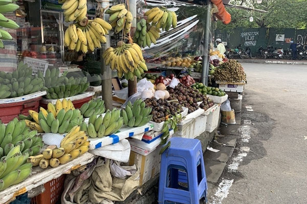 3 loại kỳ hoa dị thảo trái mọc từ thân, hái bán mãi không hết-16