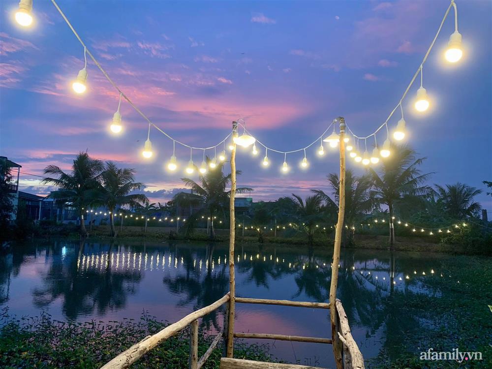 Cả gia đình may mắn có thể sống an yên giữa dịch nhờ ao cá, vườn cây xanh mát ở Bạc Liêu-1