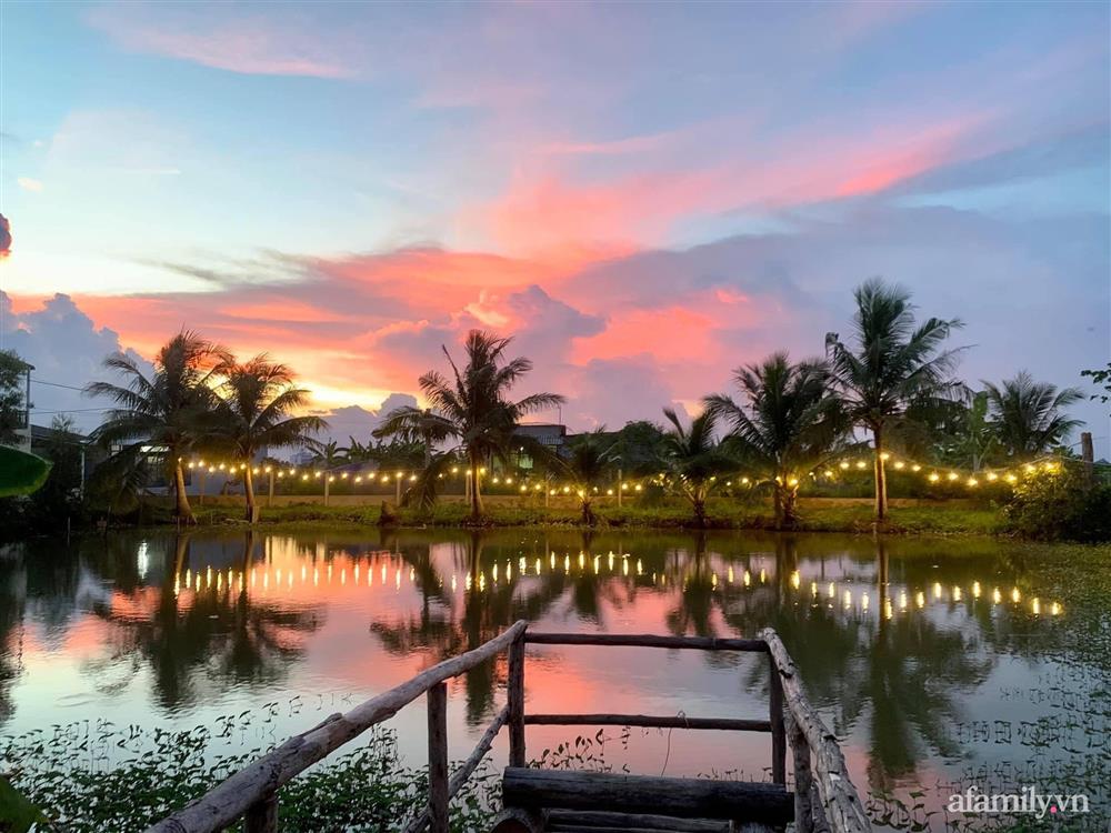 Cả gia đình may mắn có thể sống an yên giữa dịch nhờ ao cá, vườn cây xanh mát ở Bạc Liêu-2