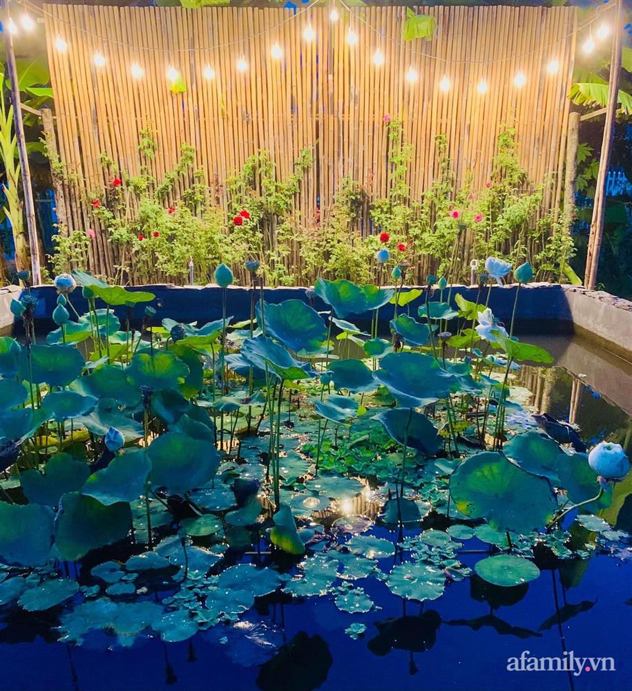 Cả gia đình may mắn có thể sống an yên giữa dịch nhờ ao cá, vườn cây xanh mát ở Bạc Liêu-4