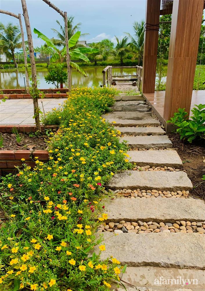 Cả gia đình may mắn có thể sống an yên giữa dịch nhờ ao cá, vườn cây xanh mát ở Bạc Liêu-6