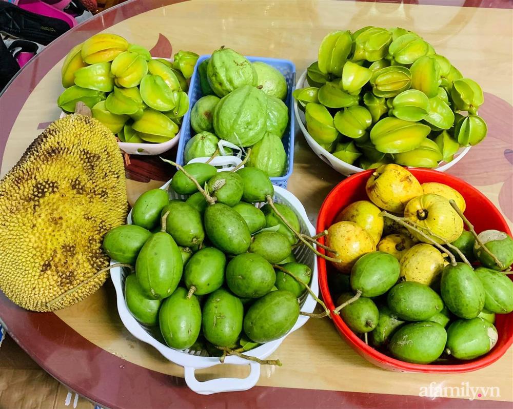 Cả gia đình may mắn có thể sống an yên giữa dịch nhờ ao cá, vườn cây xanh mát ở Bạc Liêu-14