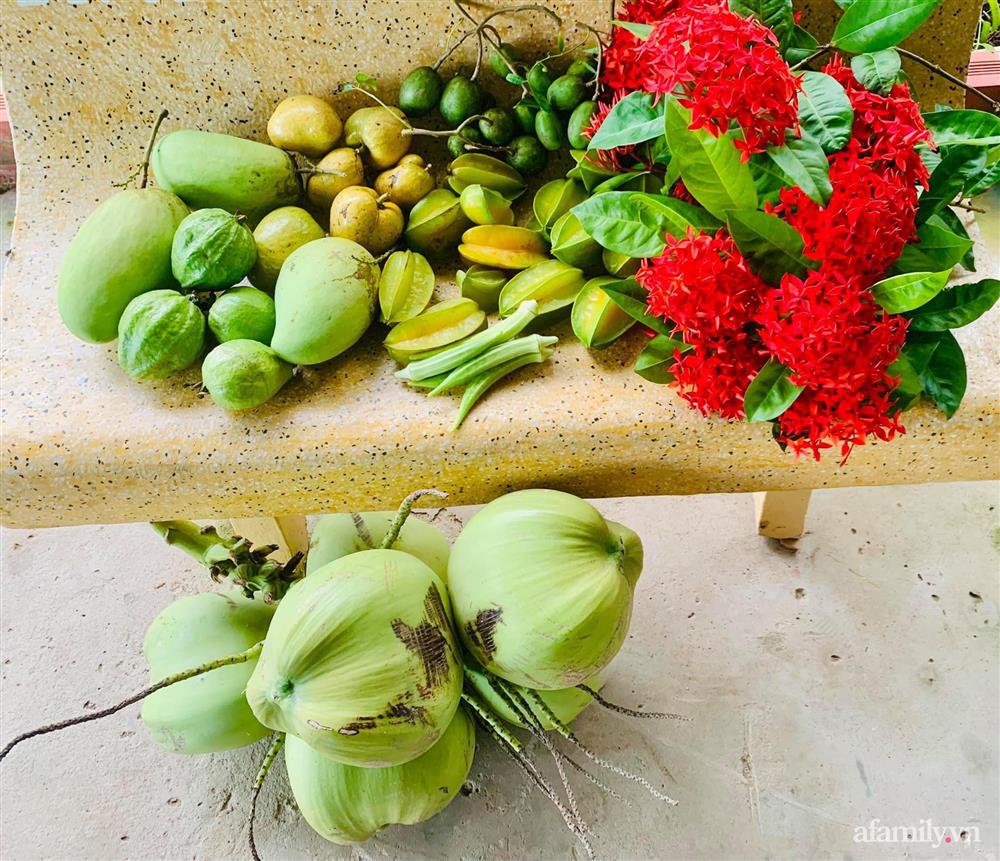 Cả gia đình may mắn có thể sống an yên giữa dịch nhờ ao cá, vườn cây xanh mát ở Bạc Liêu-16