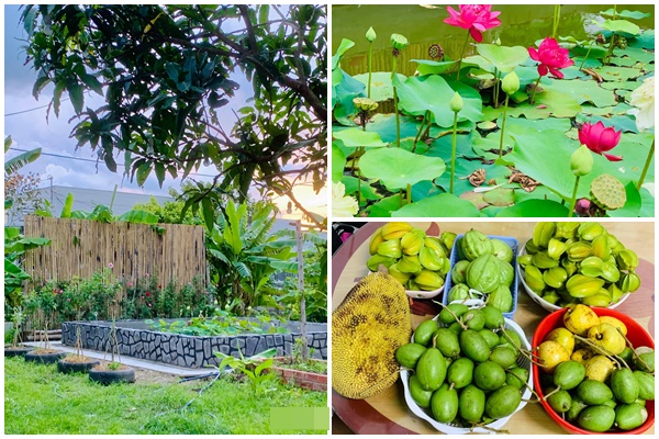 Vườn rau mướt mắt&nbsp;trong biệt thự của&nbsp;Thân Thúy Hà gì cũng có, ngày dịch sẵn thực phẩm xanh tại gia ai cũng thèm-18