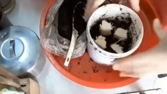 Ăn nấm kim châm đừng bỏ gốc, đem cắm vào chậu là có ngay nấm mới, tội gì không trồng-3