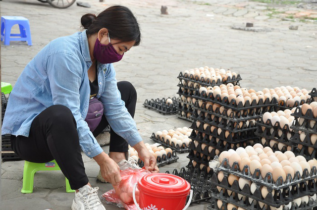 Giải mã hiện tượng trứng gà tăng giá kỷ lục, thương lái tranh nhau mua giữa tâm dịch-3